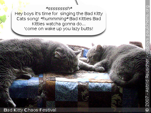 Bad Kitty Singers