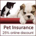 Pet Insurance