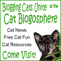 The Cat Blogosphere